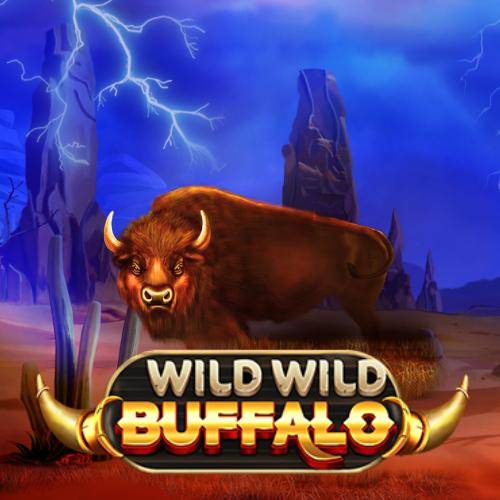 Wild Wild Buffalo